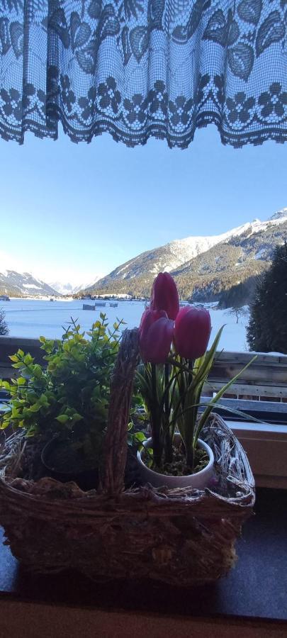 Lechtaler Alpen Apartment Bach (Tyrol)